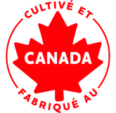 Cheddar au fromage | Mélange de collations protéinées