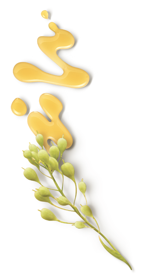 The Only Oil You Need