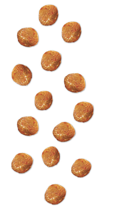 Add Some Crunch to your Salad